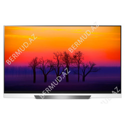 Телевизор LG OLED65E8PLA.ARU 4K Ultra HD Smart TV