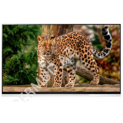 Телевизор LG OLED65E9PLA 4K Ultra HD Smart TV