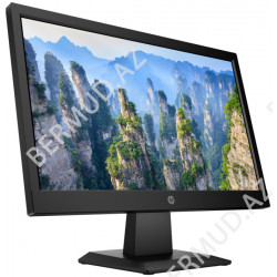 Monitor HP V19 HD 18.5" (9TN42AA)