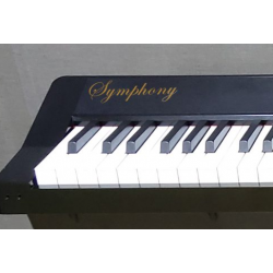 Portativ rəqəmsal piano Symphony  90 Black