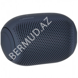 Портативное аудио LG Bluetooth Speaker PL2.DARELLK