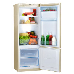Холодильник Pozis RK 102 Bg